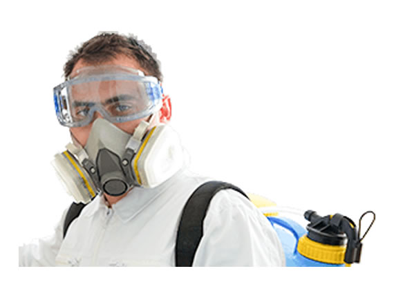 team member single image